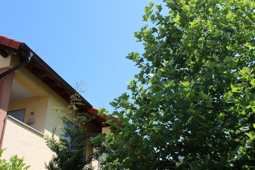 Wohnen Im Orientalischen Ambiente Lägenhet Harthausen  Exteriör bild